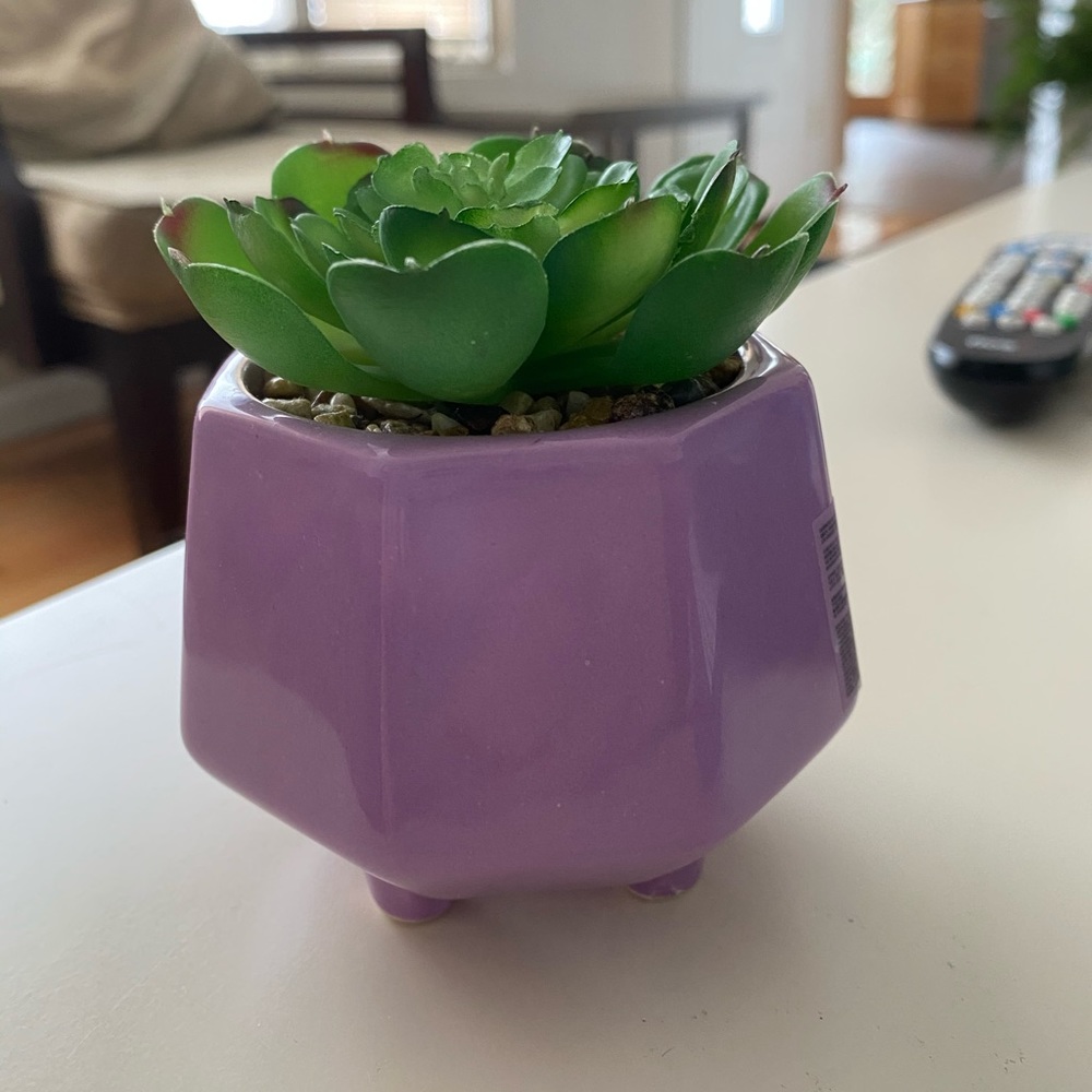 Purple Planted Fake Succulent with Gravel 🌿💜